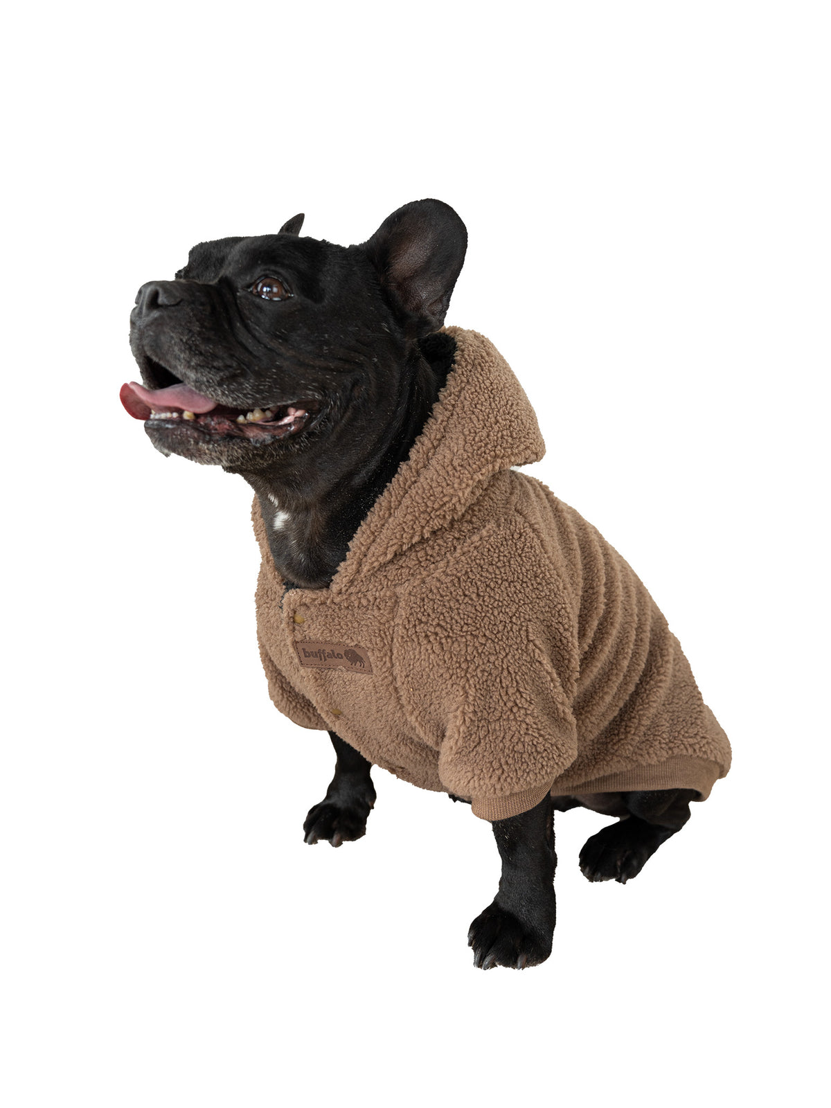 Chaqueta Chiporro Perros - Cafe / S