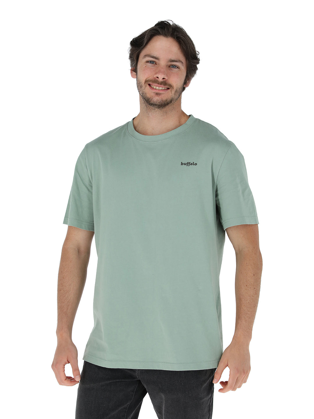 Polera Api Hombre - Verde