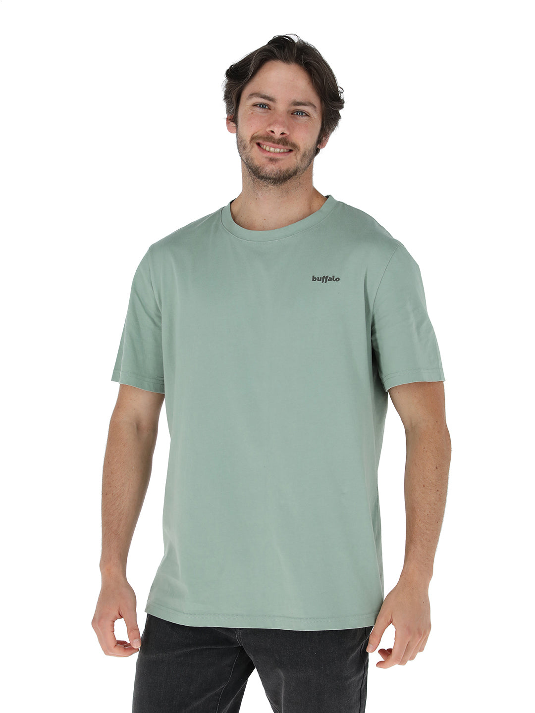 Polera Api Hombre - Verde