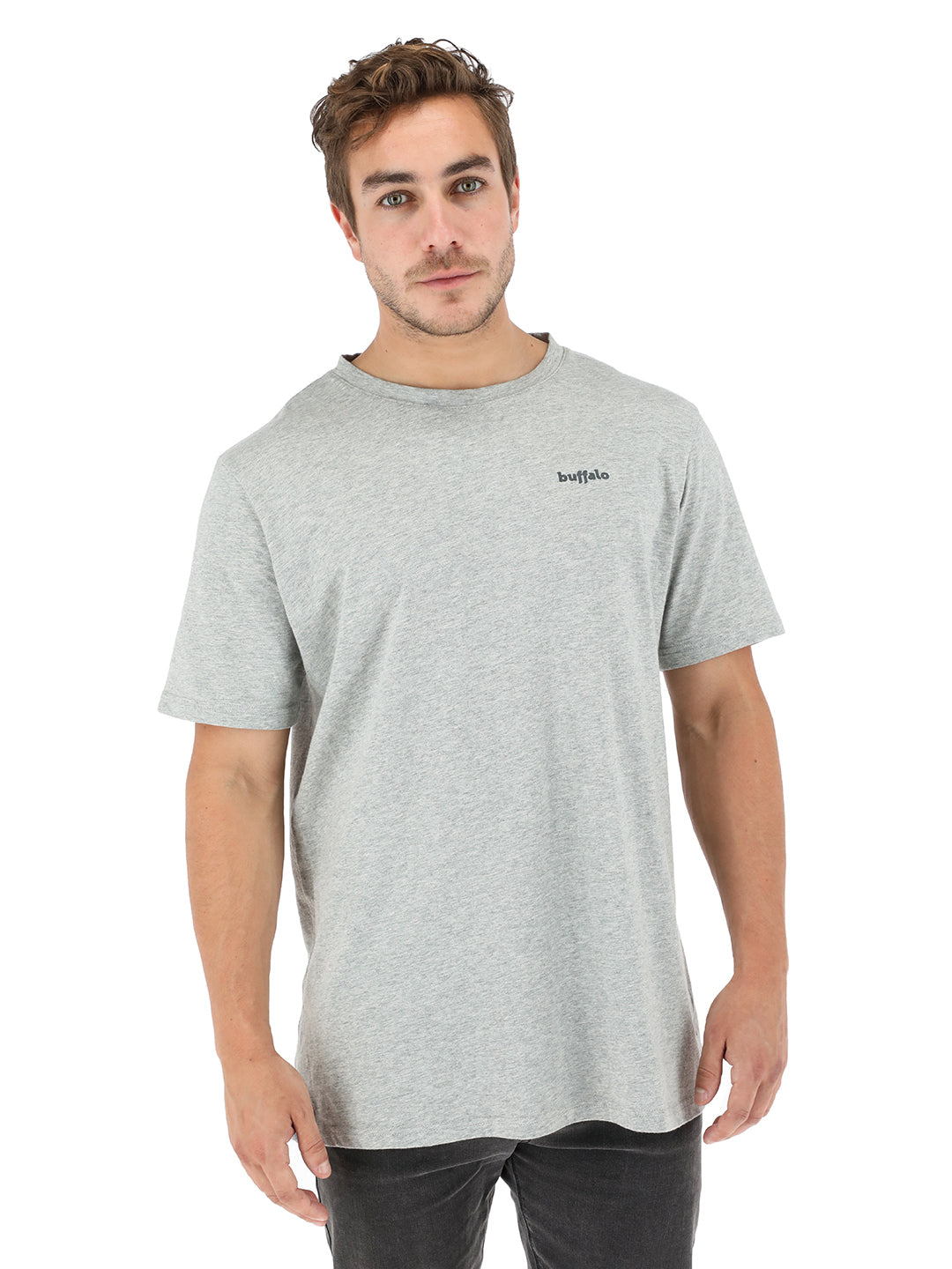 Polera Cetus Hombre - Gris